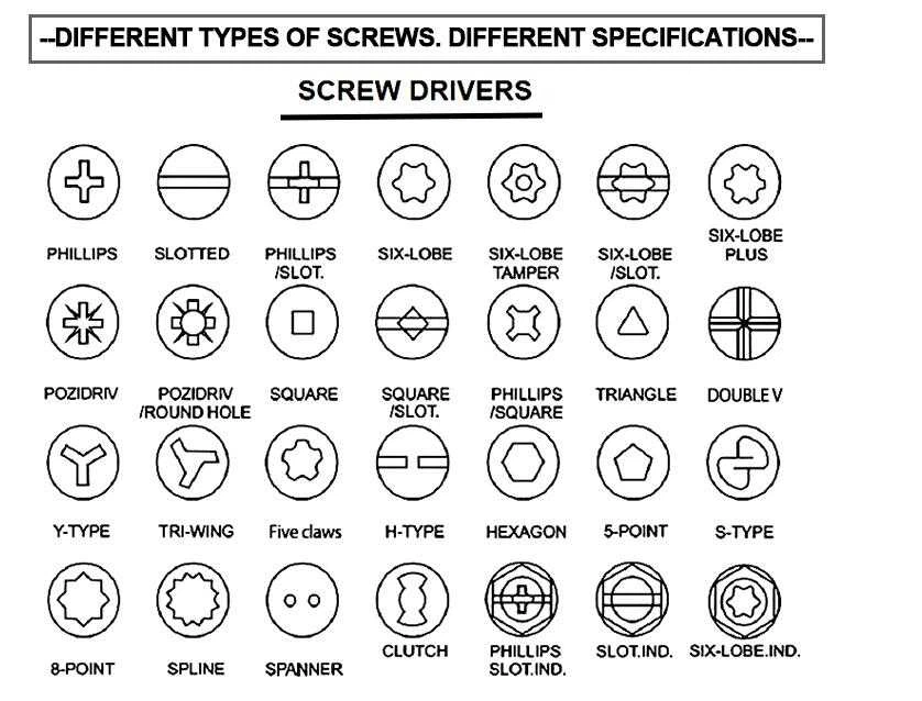 Common screw drives are pictured below