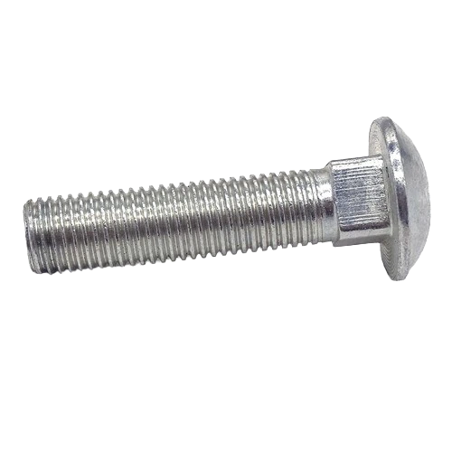 SS 304 316 Carriage Bolt DIN603 Stainless Steel