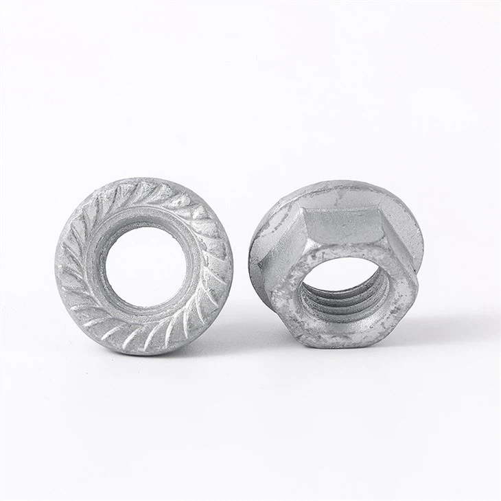 HDG/Hot Dip Galvanized Hex Flange Nut/Hex Flange Nuts DIN 6923