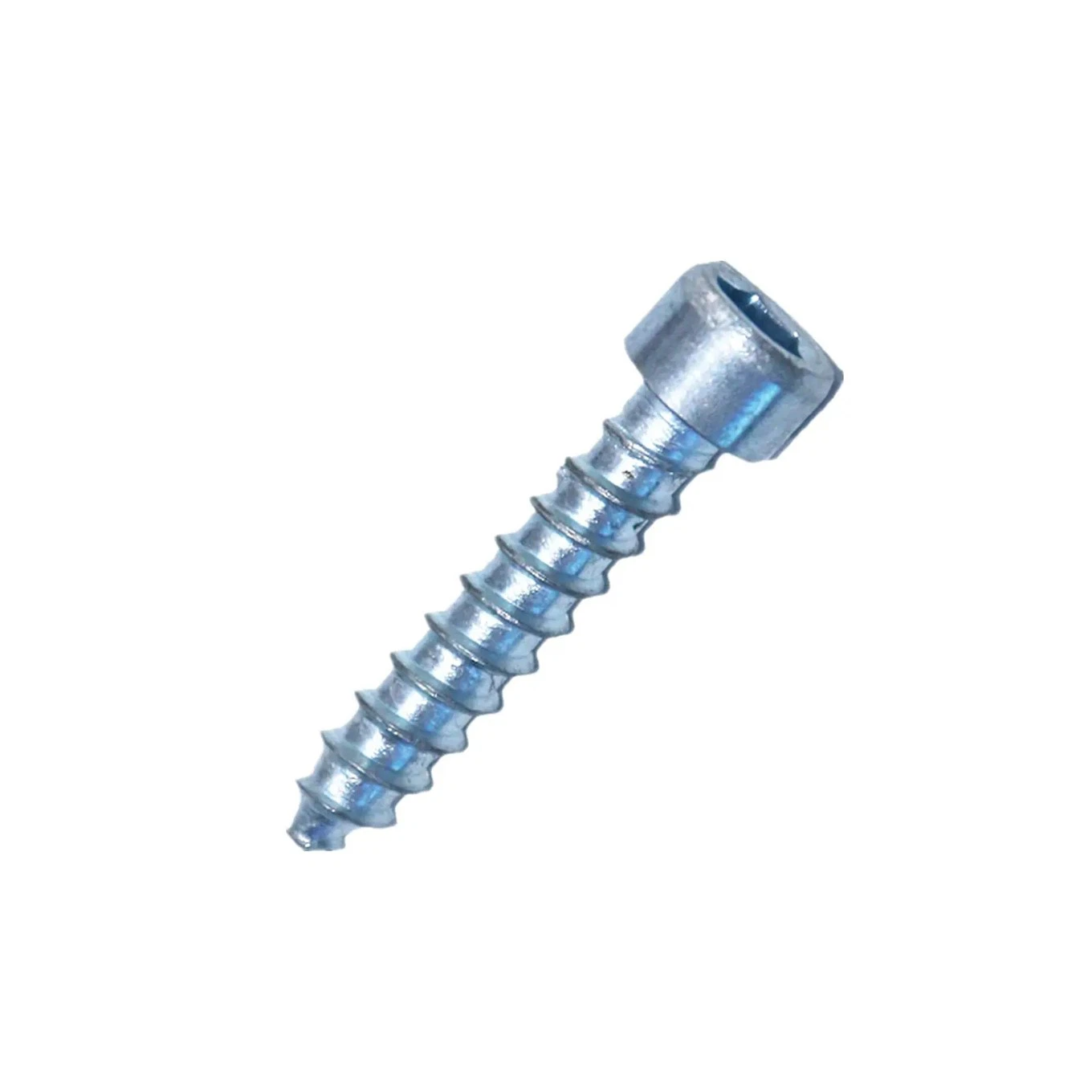 Socket Head Cap Self Tapping Screw ASME B 18.6.5M Zinc Plated/Bright Znic/Clear Zinc/Blue White Zinc