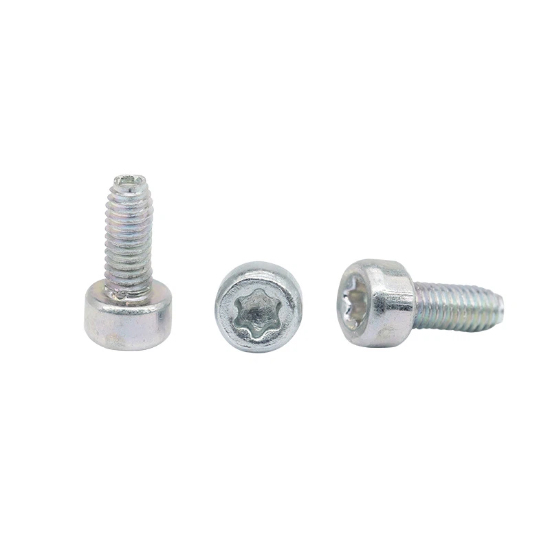 Torx Cheese Head Screw ISO 14579